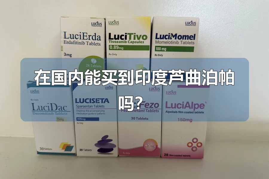 在国内能买到印度芦曲泊帕吗？