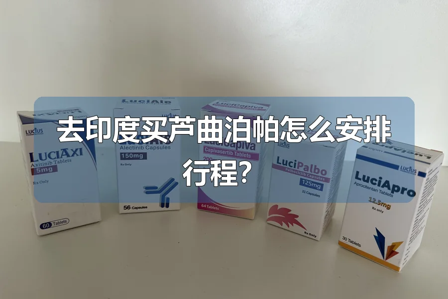 去印度买芦曲泊帕怎么安排行程？